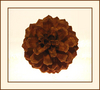 Filename=fyfka.jpg
Filesize=72KiB
Dimensions=720x649
Date added=Dec 05, 2004 fyfka.jpg
