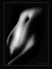 359104.jpg