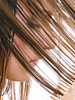 beaute45.jpg