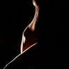 body.jpg