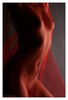 Filename=studioF.jpg
Filesize=103KiB
Dimensions=396x580
Date added=Dec 04, 2004 studioF.jpg