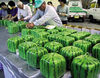 0601squarewatermelons.jpg