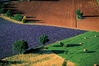 08-08-RVB-Rance.jpg