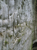 100_0075_r1.gif