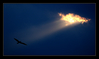2533122-lg.jpg