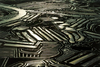 365J-09-17_Oyster_bed_France.jpg