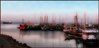 Filename=DSC00230y.jpg
Filesize=60KiB
Dimensions=500x242
Date added=Feb 04, 2005 DSC00230y.jpg