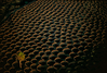 EXPO_TVDC_034_veneyards_Spain.jpg