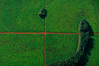 EXPO_TVDC_083_tea_Argentina.jpg