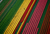 EXPO_TVDC_212_tupilps_Netherlands.jpg