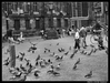 Holland_Amsterdam_DamSquare.jpg
