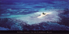 In_the_Carribean_Belize.jpg