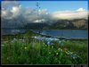 Filename=bl_und_st_051x1.jpg
Filesize=48KiB
Dimensions=600x450
Date added=Feb 04, 2005 bl_und_st_051x1.jpg