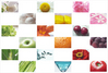 Filename=colors_tb.jpg
Filesize=32KiB
Dimensions=347x235
Date added=Feb 04, 2005 colors_tb.jpg
