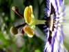 f_241807.jpg