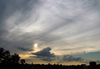Filename=kilburn.jpg
Filesize=130KiB
Dimensions=500x346
Date added=Feb 04, 2005 kilburn.jpg
