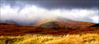 Filename=lochness.bmp
Filesize=901KiB
Dimensions=832x370
Date added=Feb 04, 2005 lochness.bmp