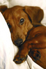 Filename=lona_141104.jpg
Filesize=22KiB
Dimensions=367x550
Date added=Feb 04, 2005 lona_141104.jpg