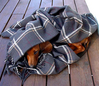 Filename=luna_pled2.jpg
Filesize=61KiB
Dimensions=550x476
Date added=Feb 04, 2005 luna_pled2.jpg