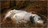 post-11-1071246784.jpg