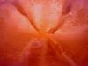 razor_500px2.jpg