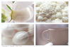 Filename=white-mid.jpg
Filesize=83KiB
Dimensions=707x480
Date added=Feb 04, 2005 white-mid.jpg