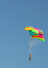 IMG_2793.jpg