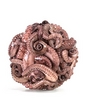 octopussy1.jpg