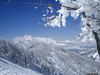 Filename=snow_01_l.jpg
Filesize=220KiB
Dimensions=800x600
Date added=Mar 09, 2006 snow_01_l.jpg