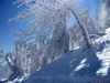 Filename=snow_02_l.jpg
Filesize=212KiB
Dimensions=800x600
Date added=Mar 09, 2006 snow_02_l.jpg